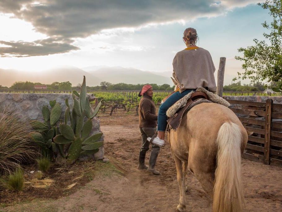 Rondreizen Argentinië Cafayate Patios de Cafayate
